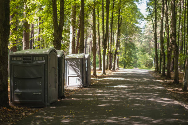 Affordable portable toilet rental in Quinnesec, MI